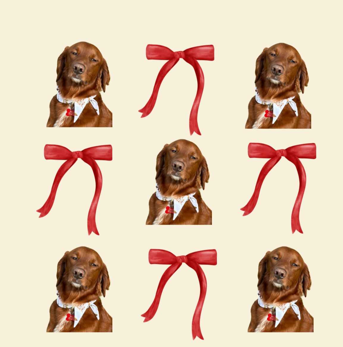 Pup
