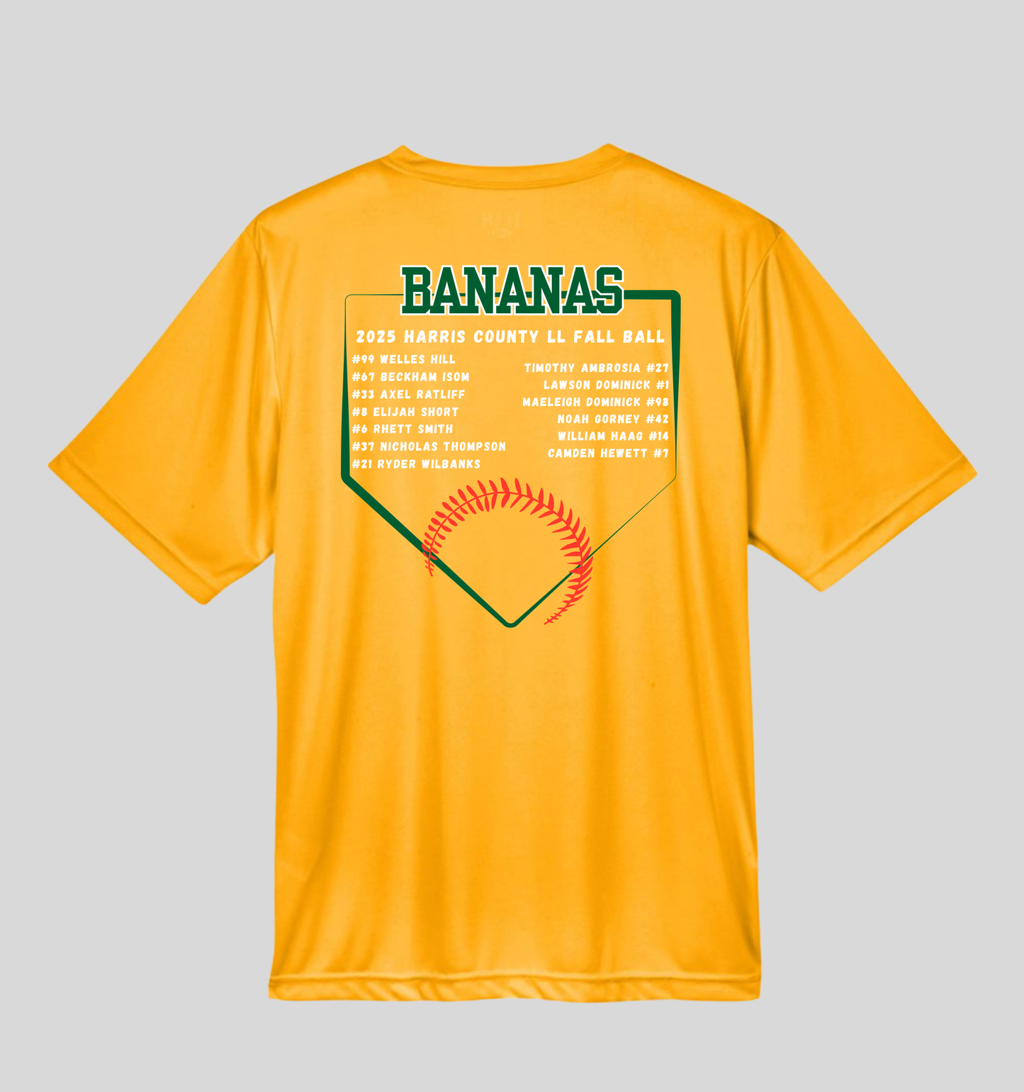 Bananas Baseball Fall Ball