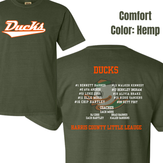 Ducks adult