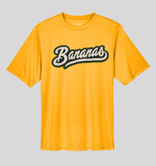 Bananas Baseball Fall Ball